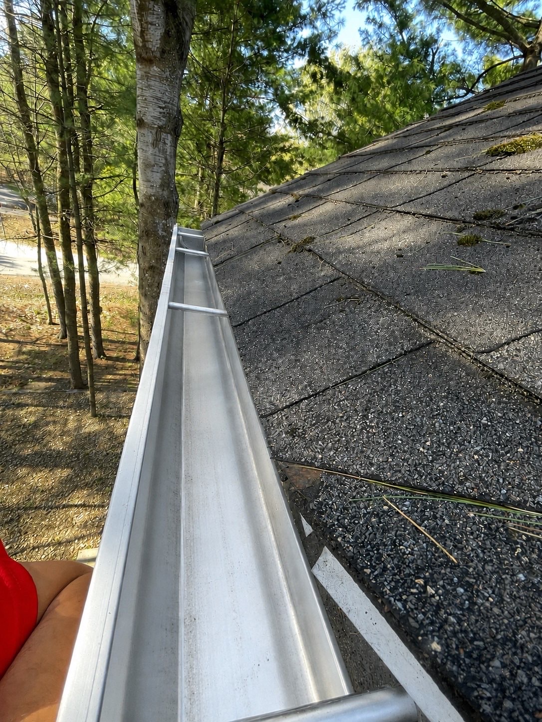 Gutter cleaning — after