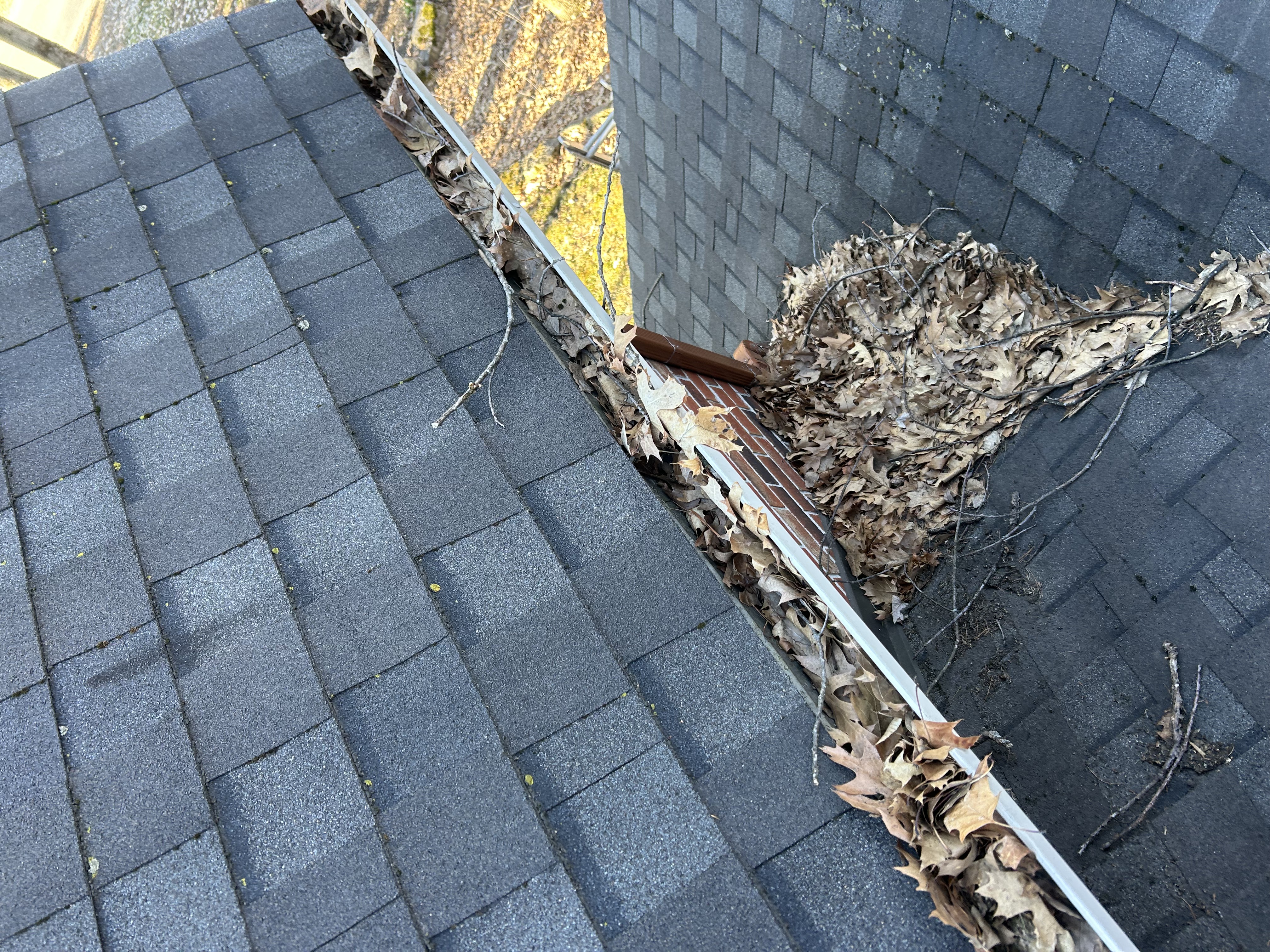 Gutter cleaning service
